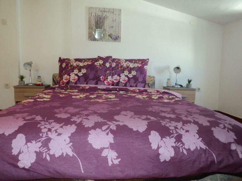 Studio Apartments Ana โรวีน ภายนอก รูปภาพ